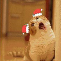 如何在微信头像上加圣诞帽