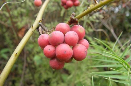 宜春城郊游玩周末徒步路线攻略