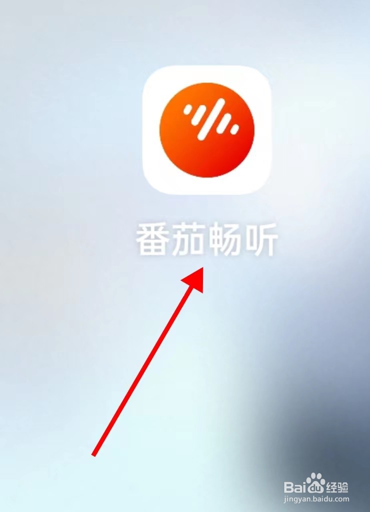 番茄畅听如何查找我的资产
