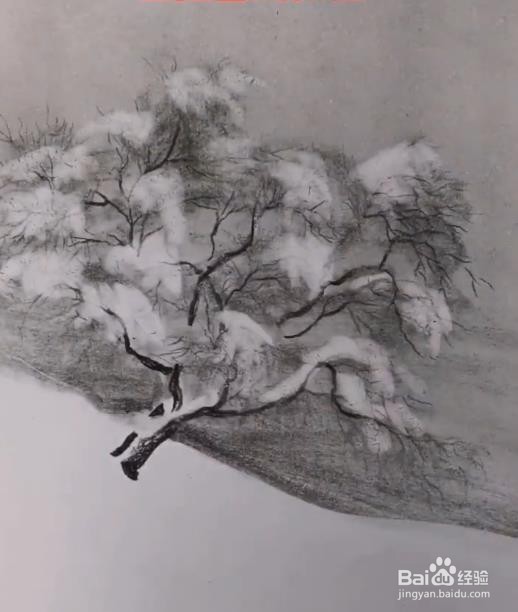 树上结冰怎么画