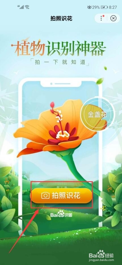 什么软件可以拍照识花？