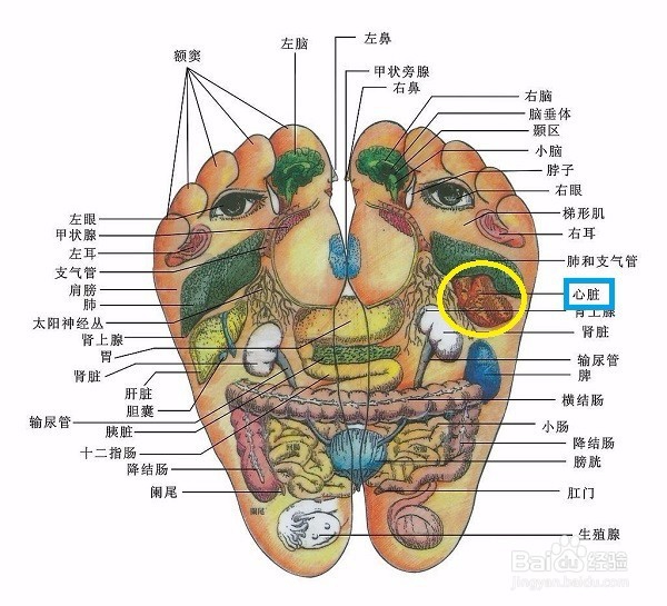 呼吸道感染怎么办