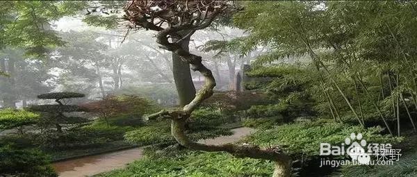 重庆旅游攻略必玩的景点