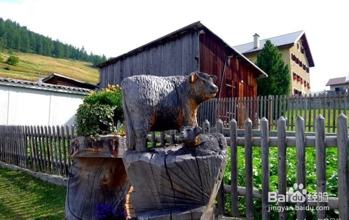 《彳亍世界》：纯净瑞士马年送你一匹马