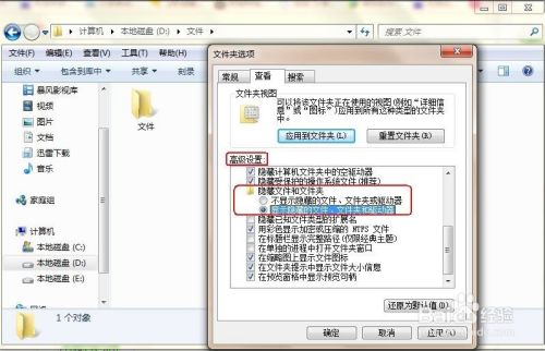 WIN7系统如何显示隐藏文件