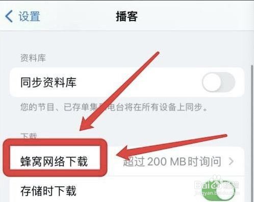 在哪设置允许苹果播客使用蜂窝网络下载
