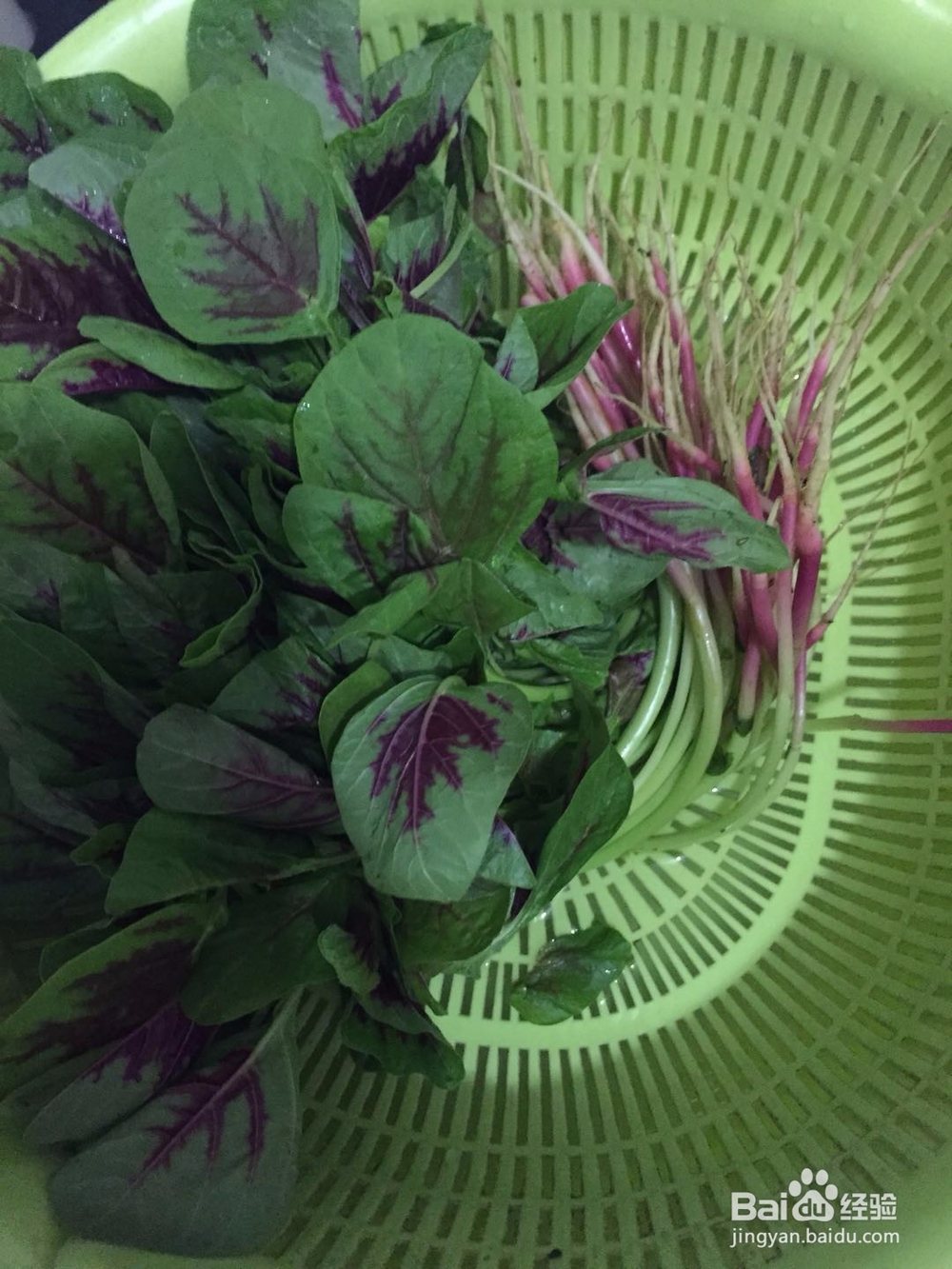好吃的苋菜怎么做