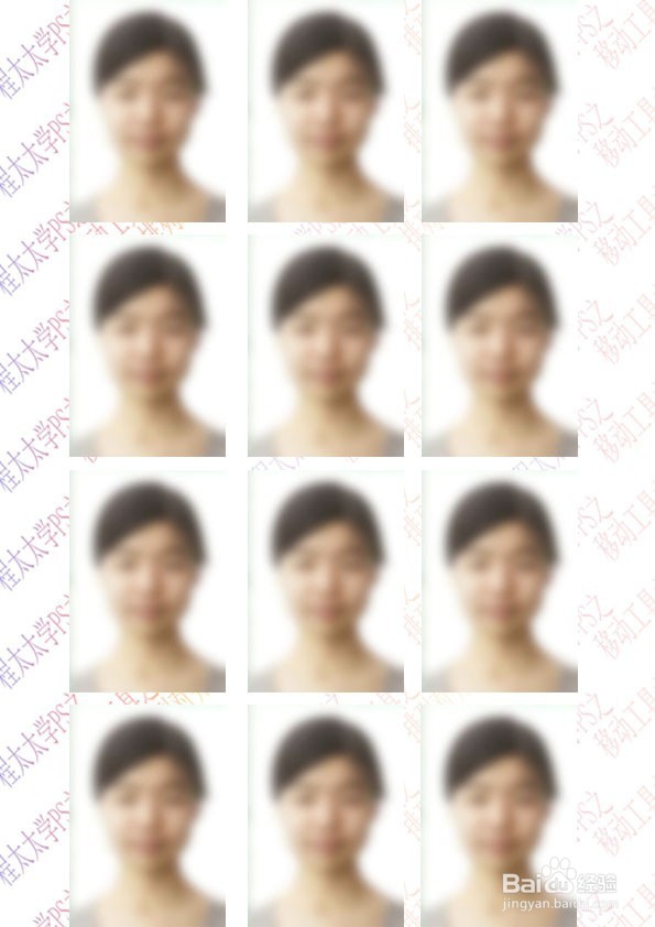 程太太学PS之——移动工具之3-2(2018-11-22)