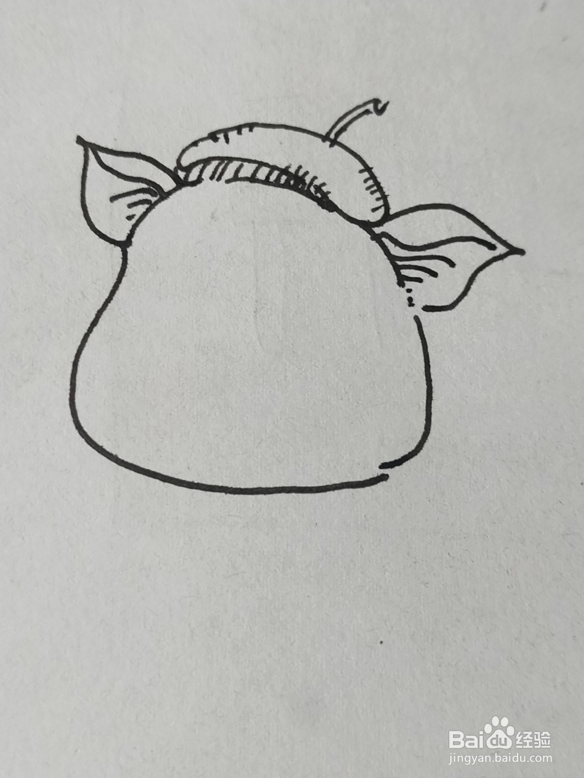 怎么画卡通小猪画家