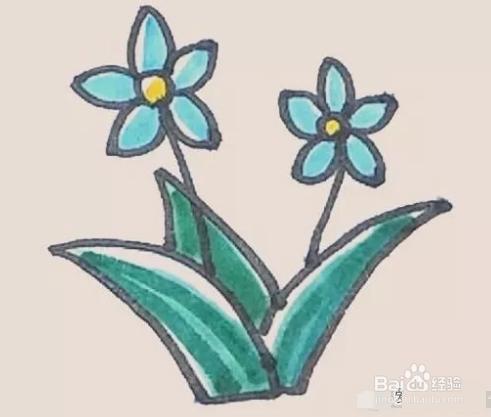 迷人的水仙花
