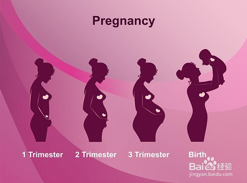 孕妇内衣大小号怎么选 分时间段挑选