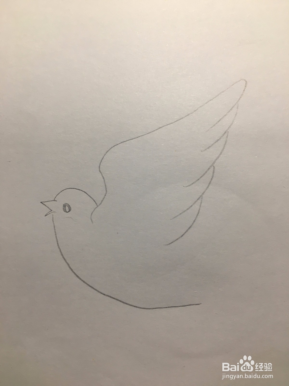 儿童美术 鸽子简笔画 鸽子涂鸦画