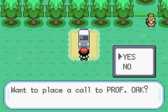 口袋妖怪圣灰攻略图片5