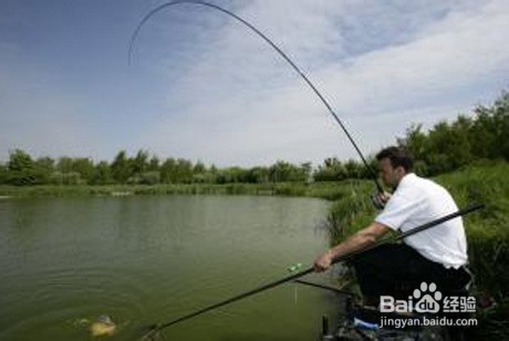 立春后野河如何钓鲤鱼