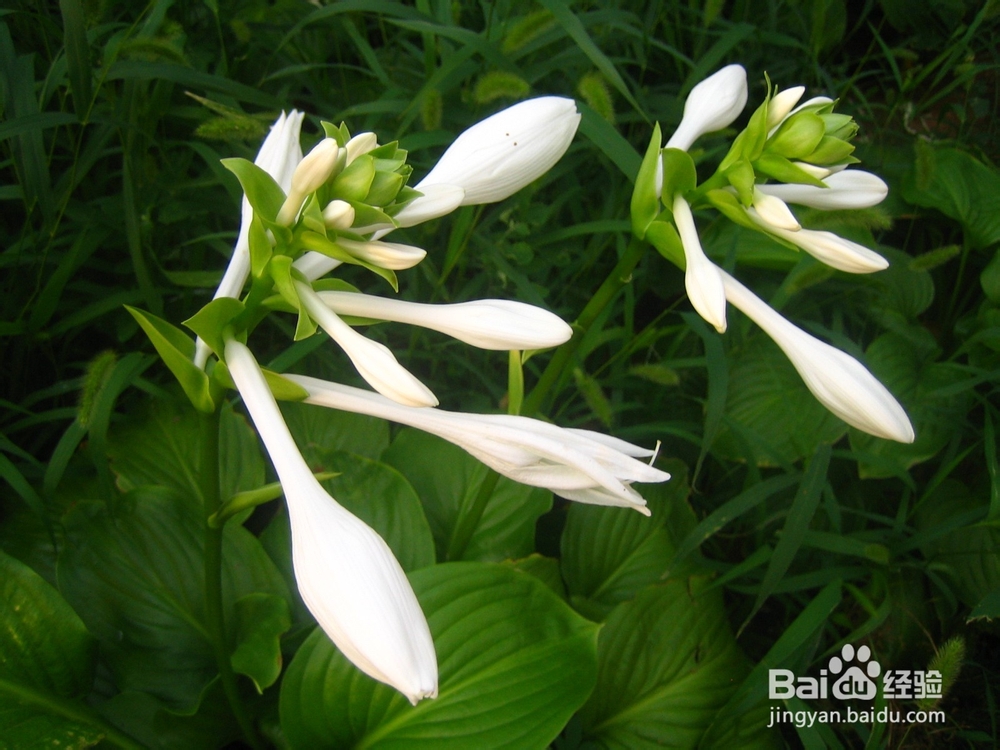 孩子的教育是潜移默化的