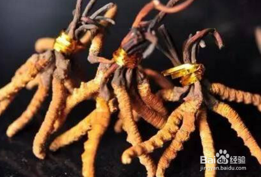 女孩子冬季吃什么才健康？