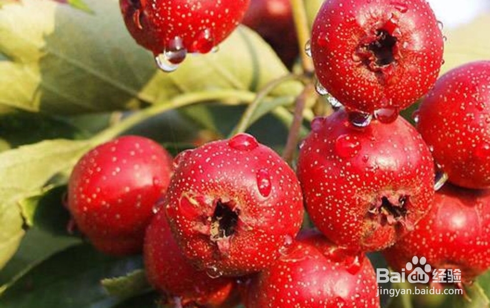 在夏天吃饭没有食欲怎么办