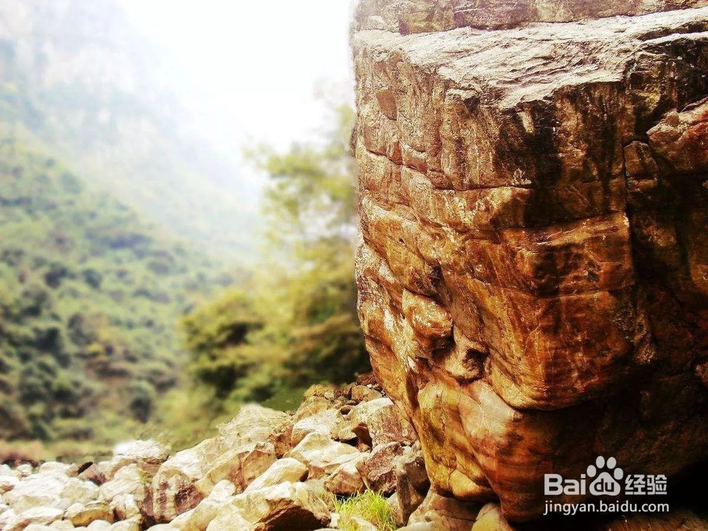 重阳节出行攻略，带父母去九龙江体验瑶畲情