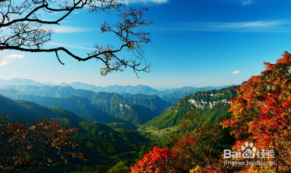 神农架自由行最佳攻略