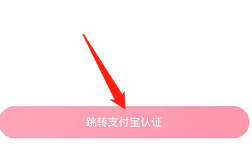 安卓版皮皮如何跳转支付宝认证