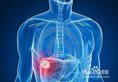 怎么看肝检验报告