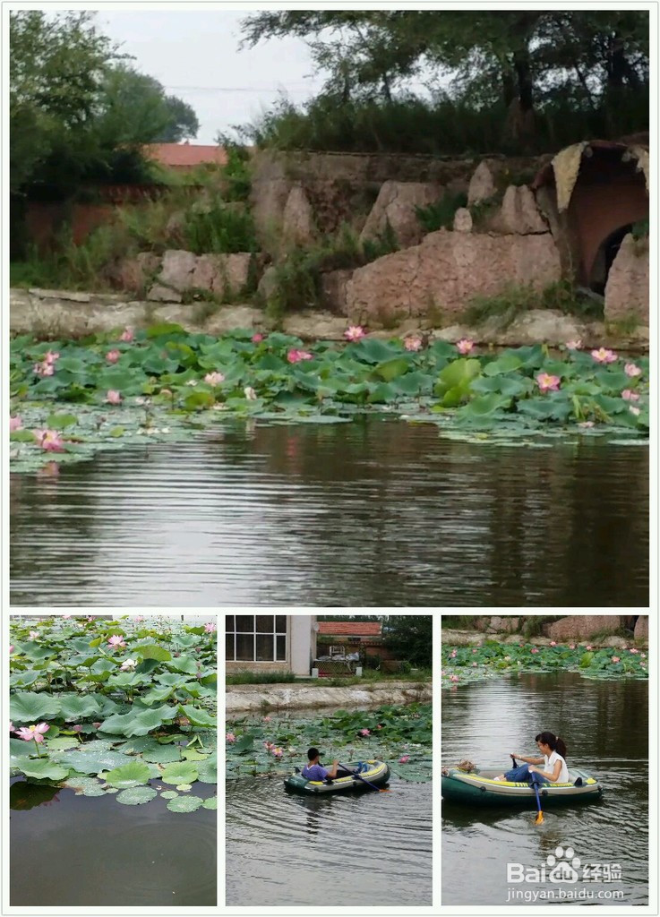 荷叶粉蒸五花肉的做法