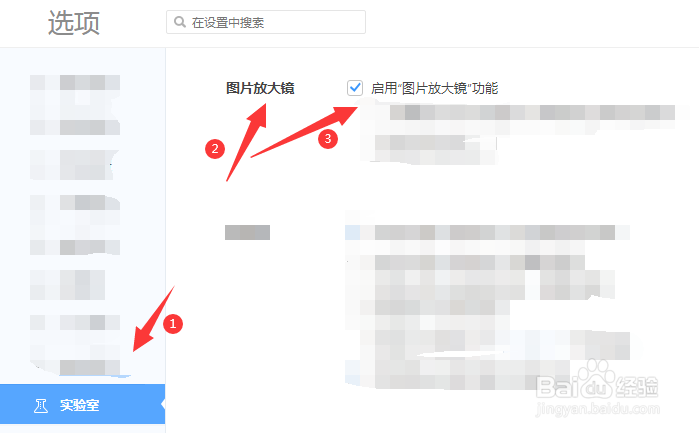 如何启用浏览器中的图片放大镜功能