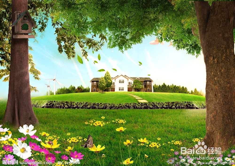 股票新手怎样在股市中迅速成长