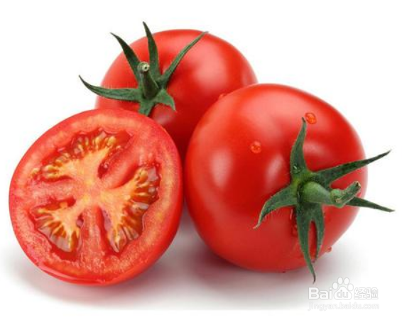 春季种植什么蔬菜大全