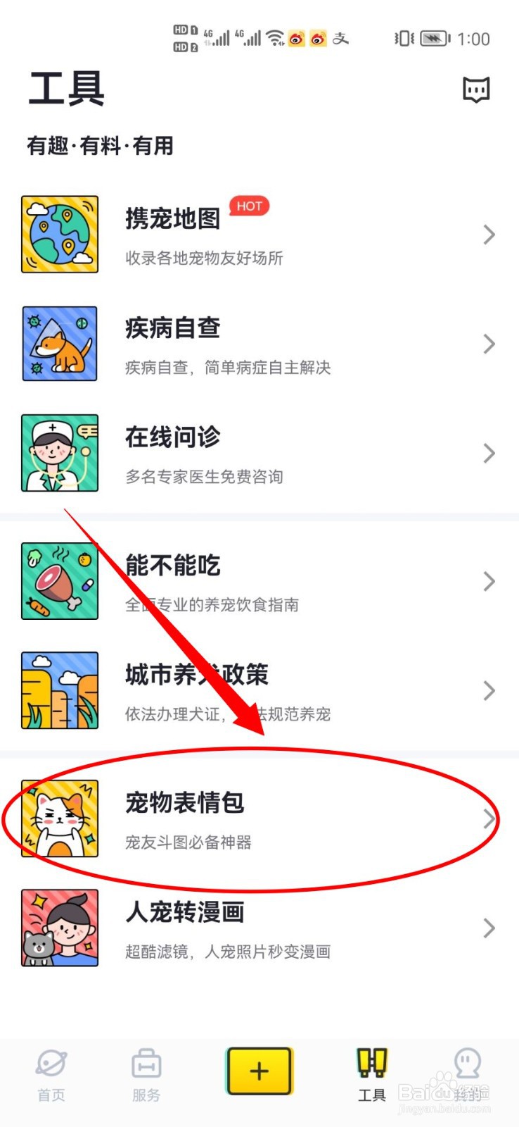 如何用宠胖胖制作宠物表情