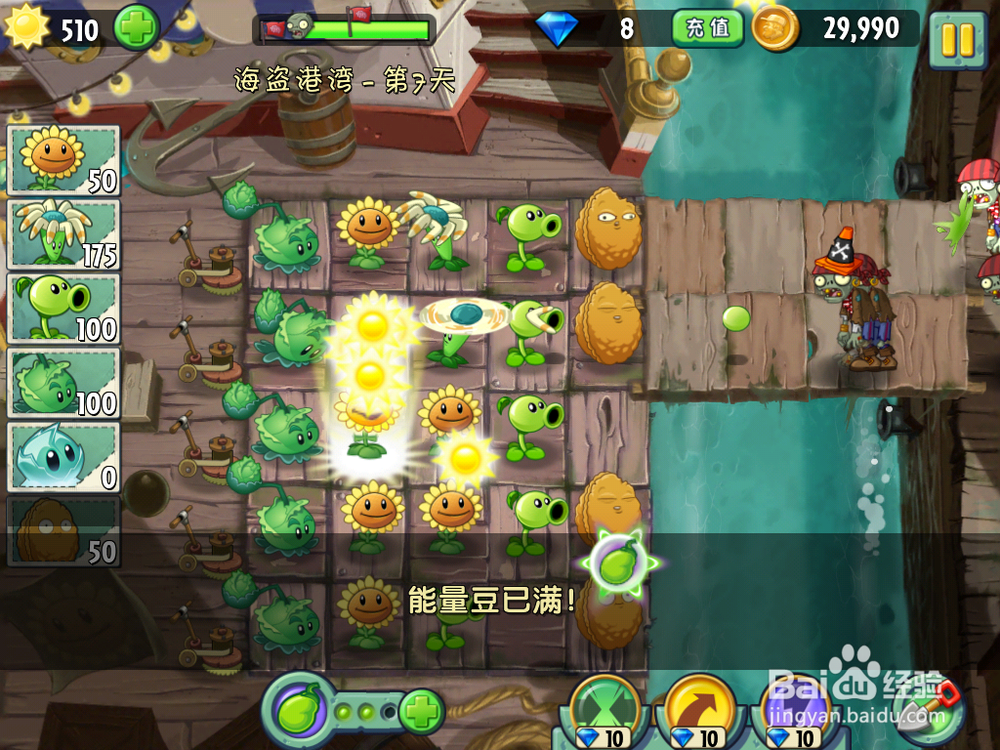 植物大战僵尸2 海盗港湾 第七天