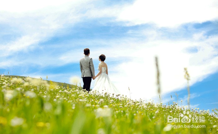 新都桥婚纱摄影拍摄线路之塔公草原
