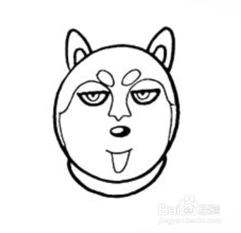 想吃骨头的哈士奇简笔画