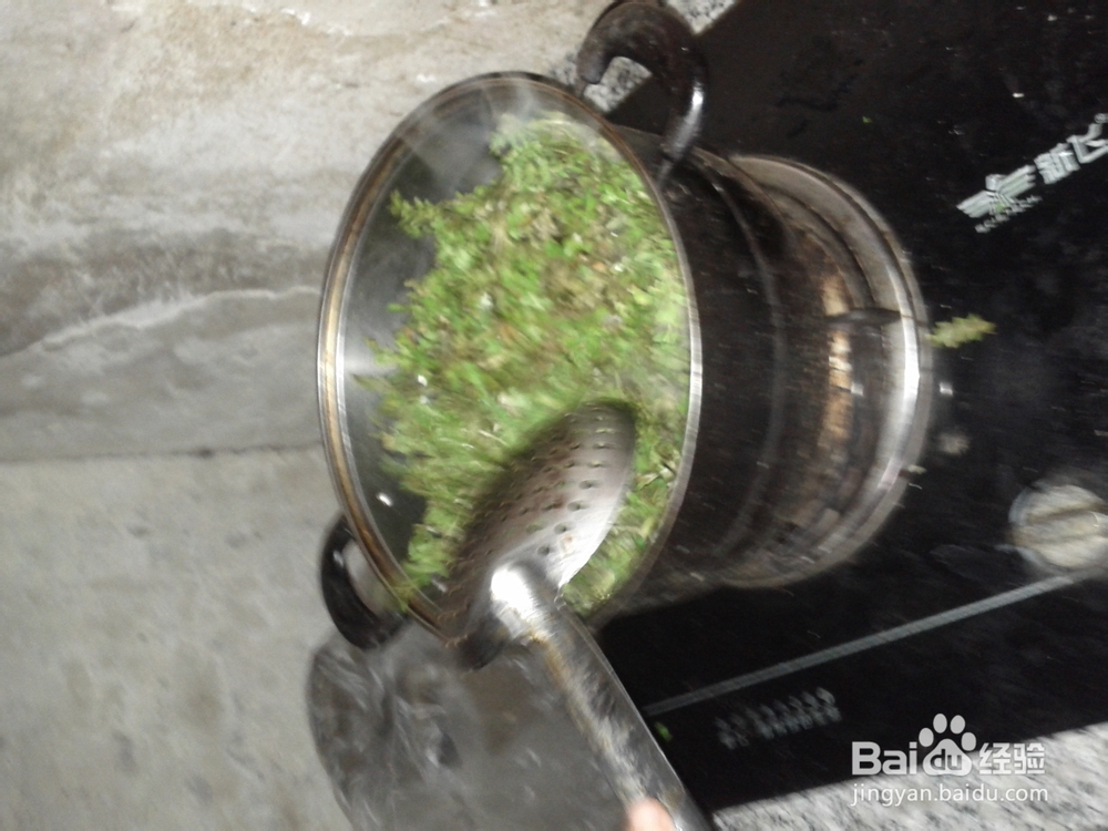 美食天下之野菜馅饺子