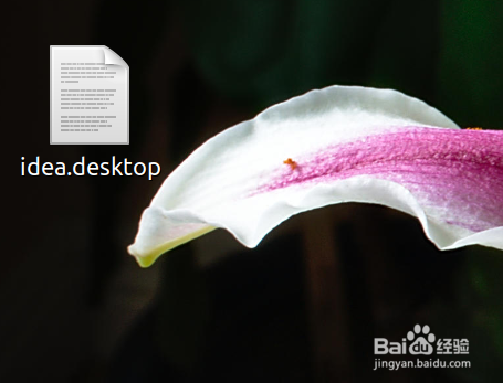 Ubuntu安装Kotlin的开发工具IDEA与创建快捷启动