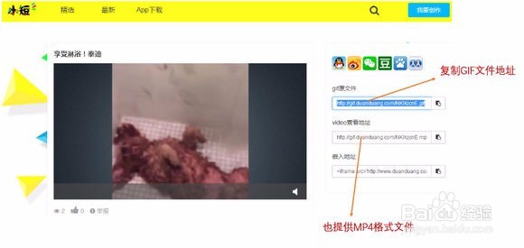 动图制作:直接拍摄or视频转GIF,并微信发送。