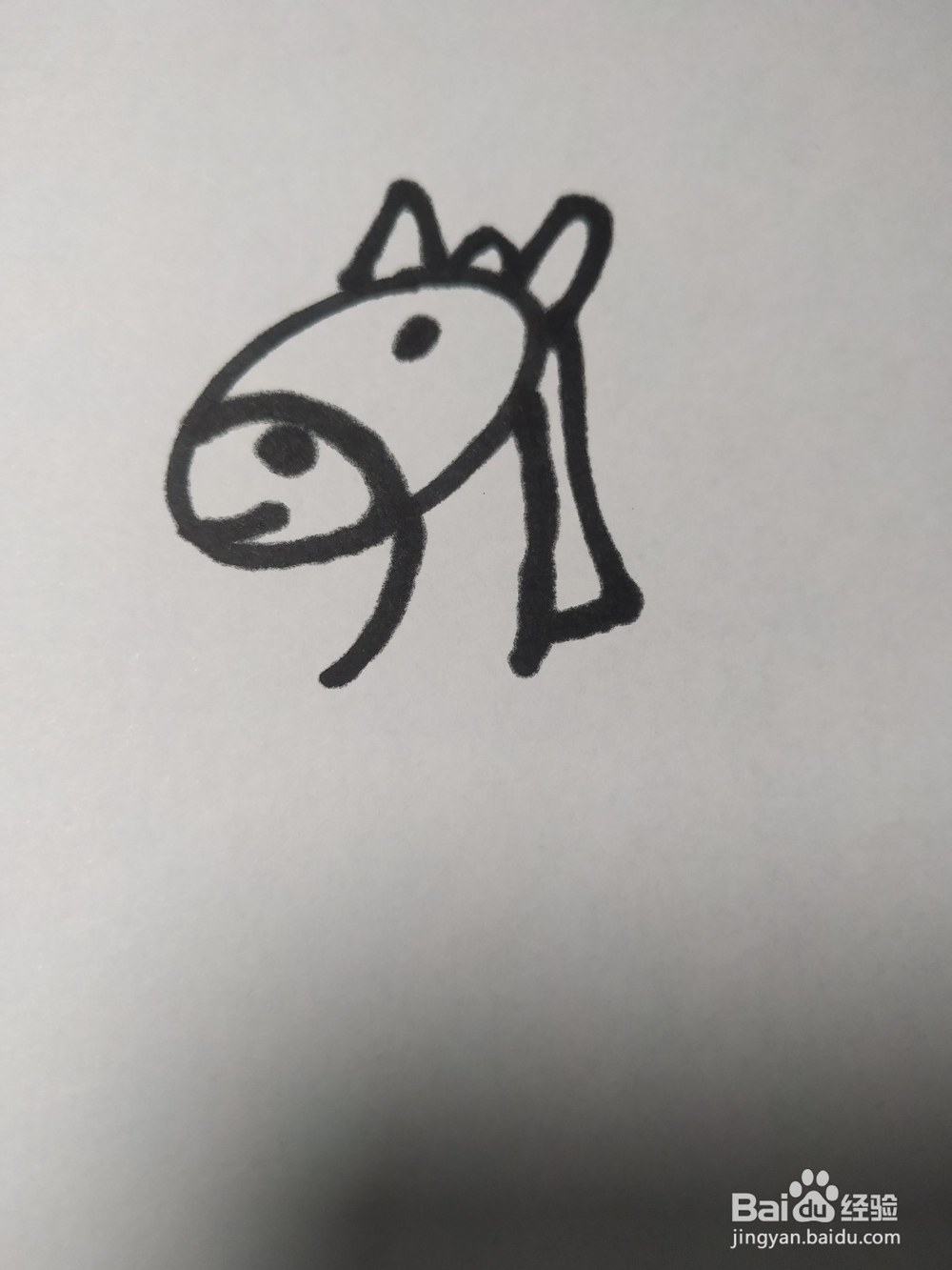 毛驴的简笔画技法3