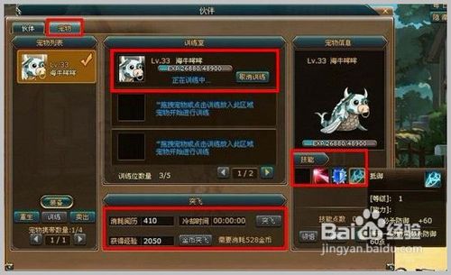 热血海贼王最新伙伴会谈实用技巧