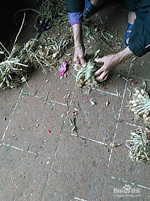 怎么煲鲜美的海星汤？