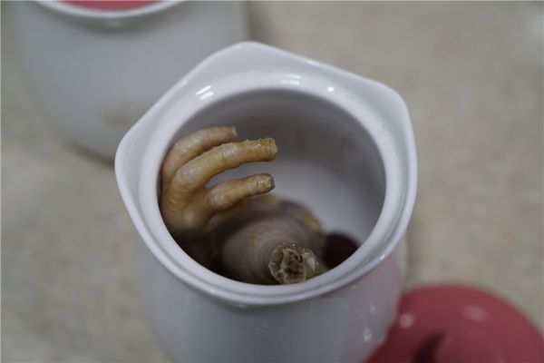 虫草红枣鸡腿汤