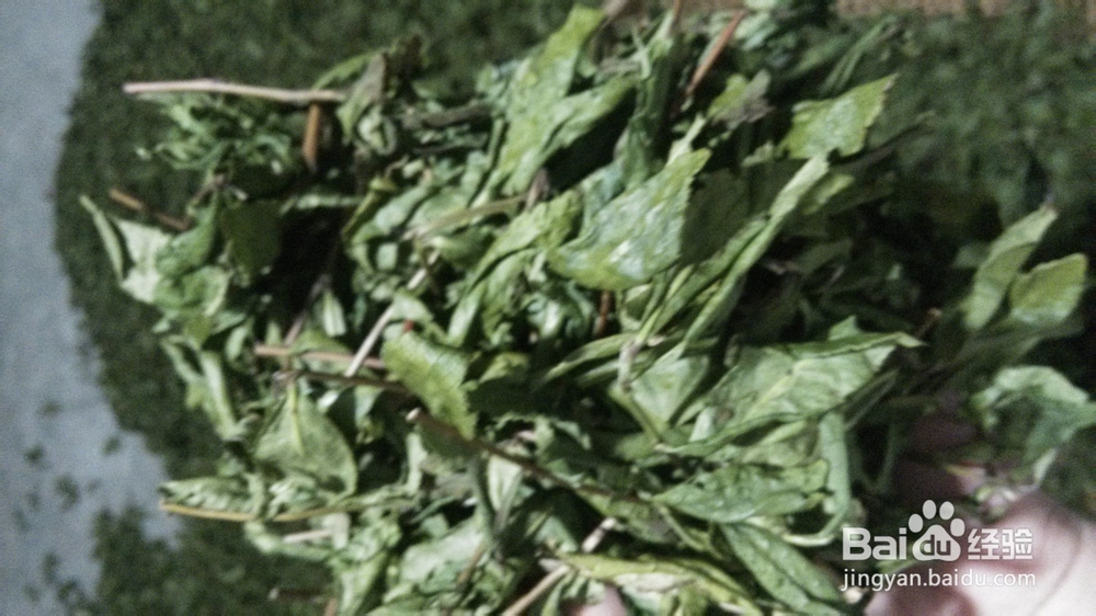 高山铁观音、低山铁观音是怎么区别