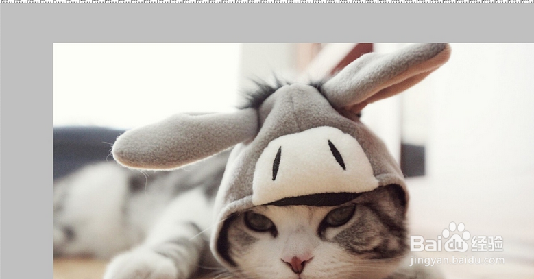 Ps如何固定裁剪图片