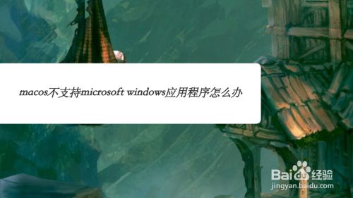Macos不支持microsoft Windows应用程序怎么办 百度经验