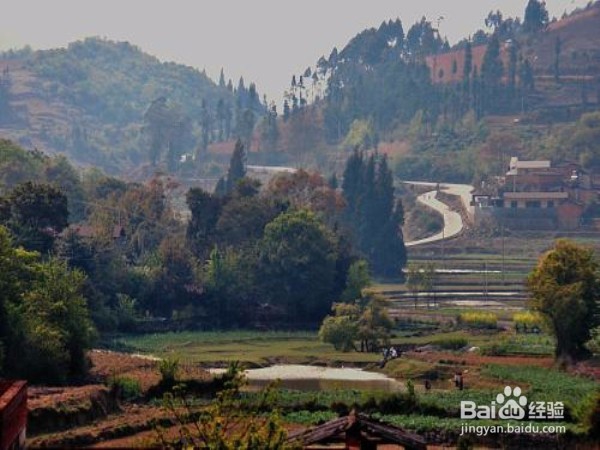 如何克服在乡下工作的困难？