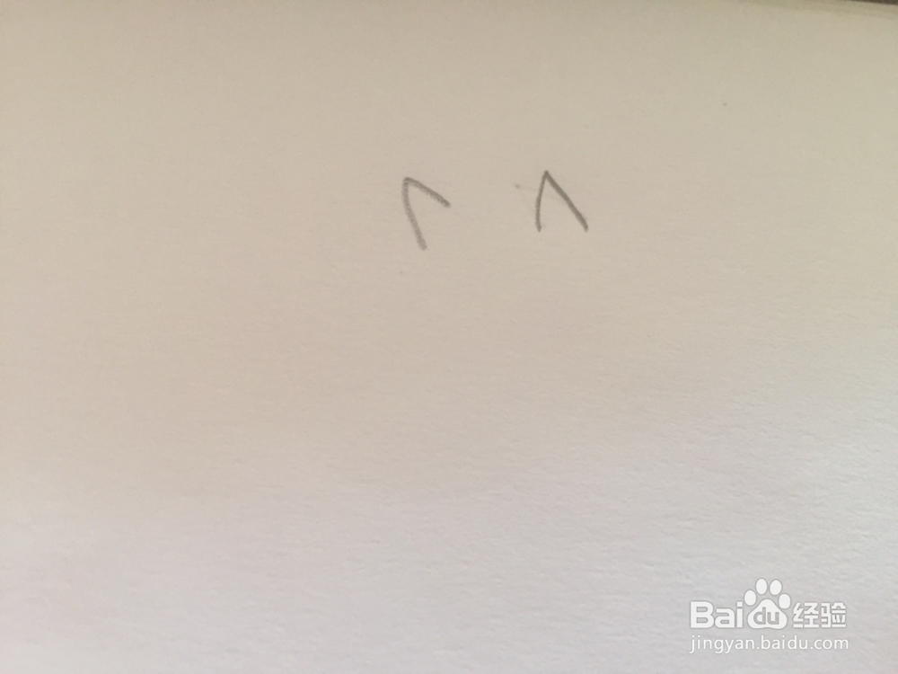 简笔画绘画羊驼