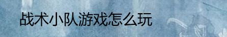 战术小队游戏怎么玩