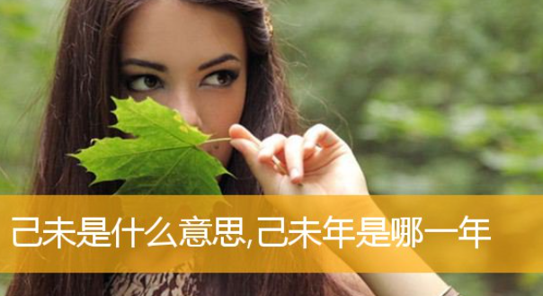 己未年是哪一年