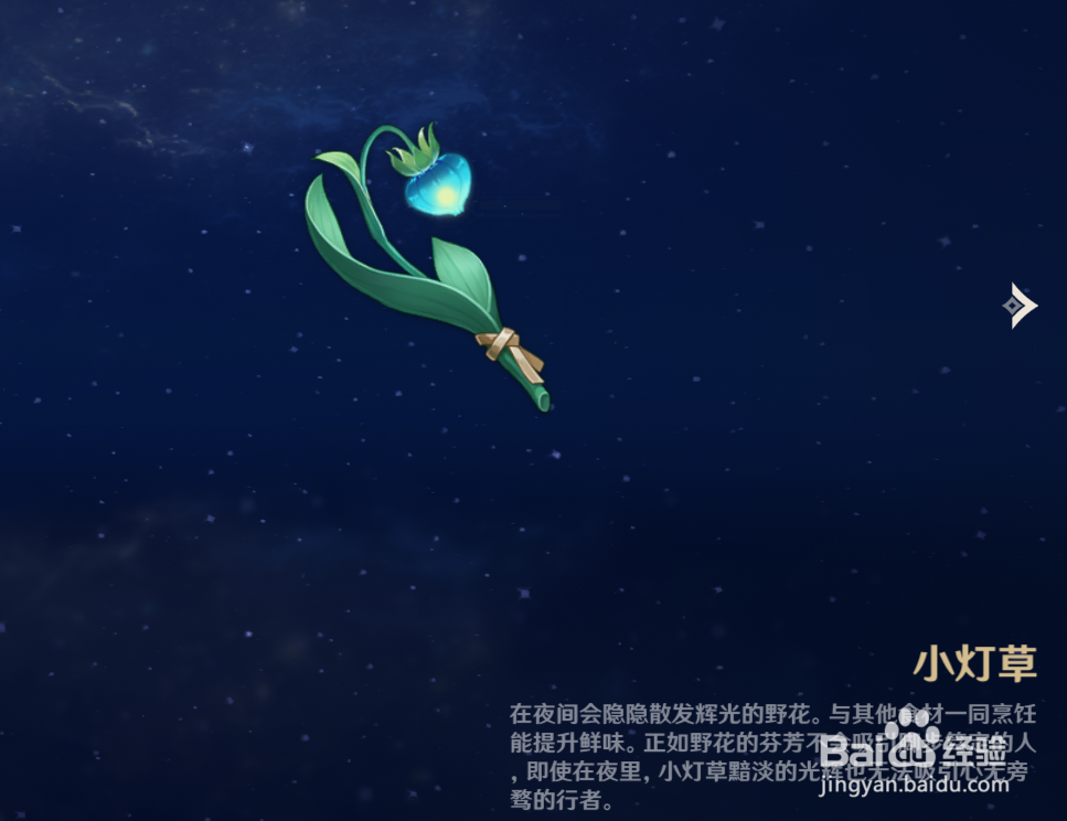 原神中如何查看小灯草物品的解说