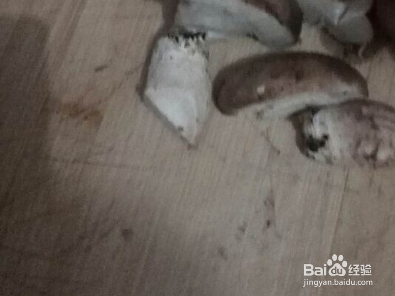 如何用电饭锅制作美味香菇排骨汤