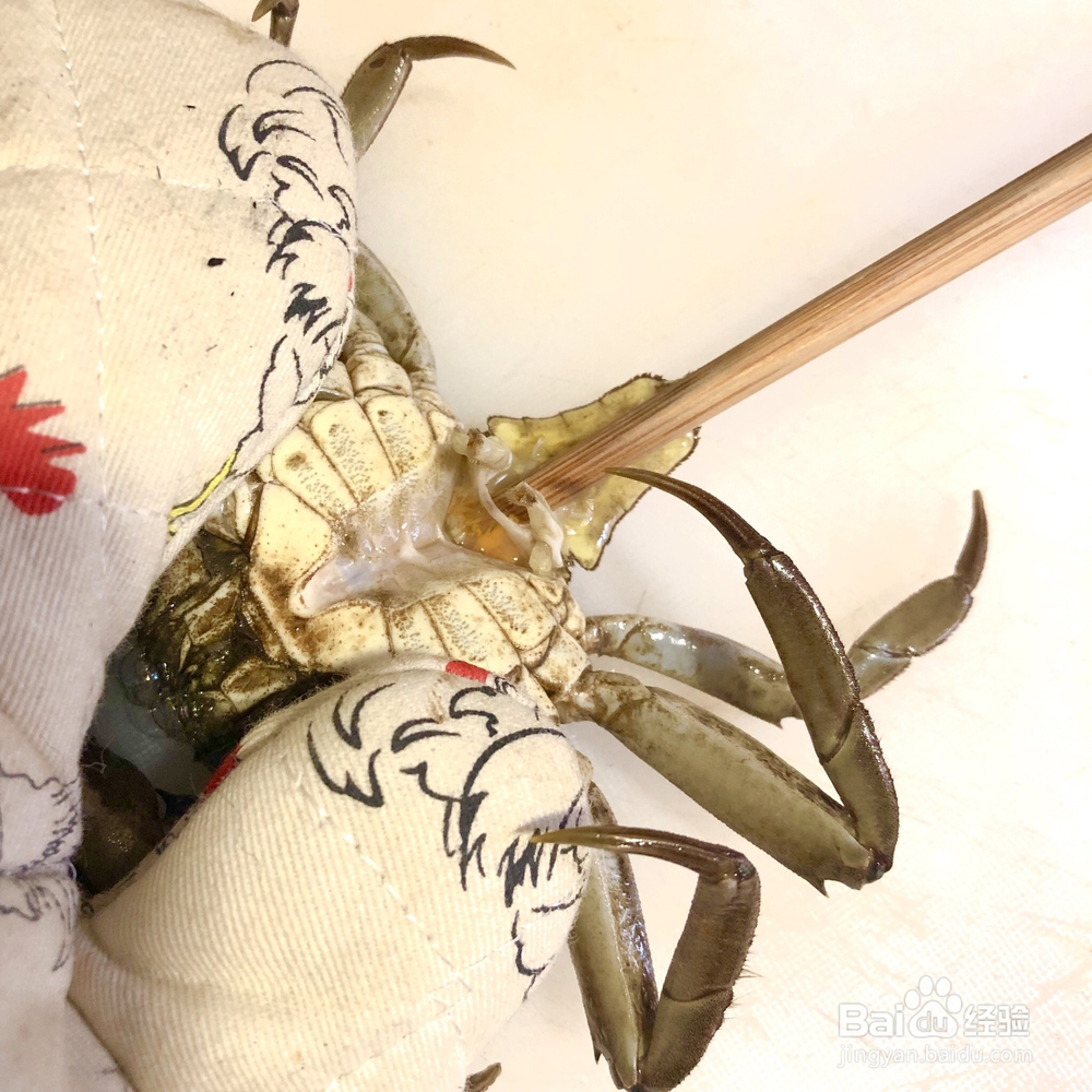 厨爸教你做螃蟹炒年糕